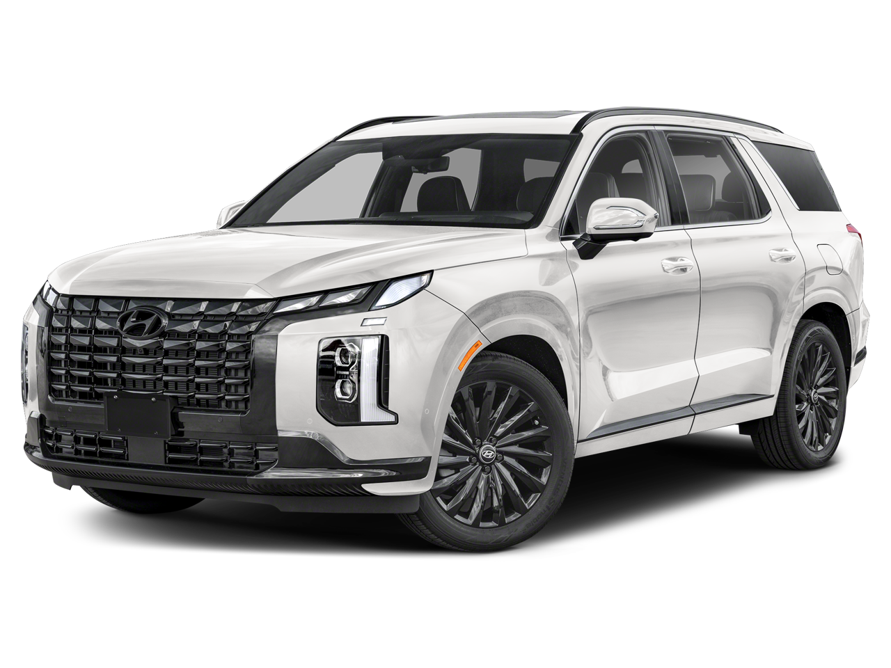 2025 Hyundai Palisade Calligraphy Night Edition for sale in Wichita Falls, TX