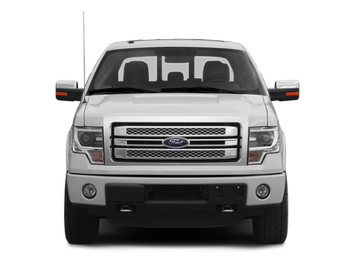 2014 Ford F-150 Platinum