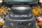 2024 Acura ZDX Type S w/Performance Wheel & Tire Pkgs