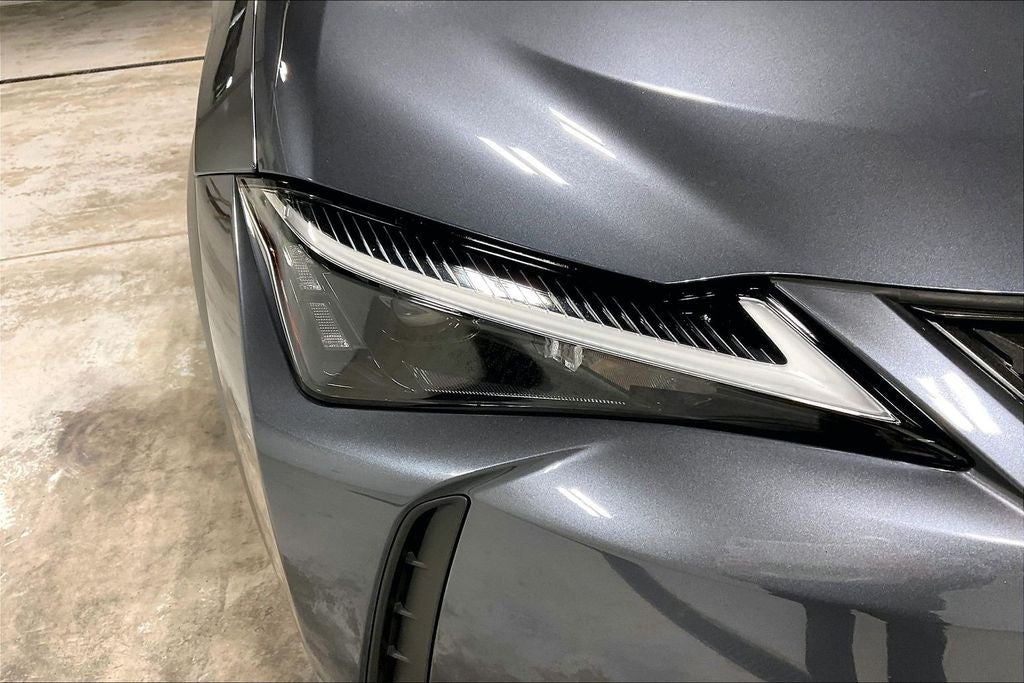 2024 Lexus UX 250h Base