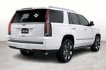 2020 Cadillac Escalade Platinum Edition