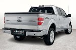 2014 Ford F-150 Platinum