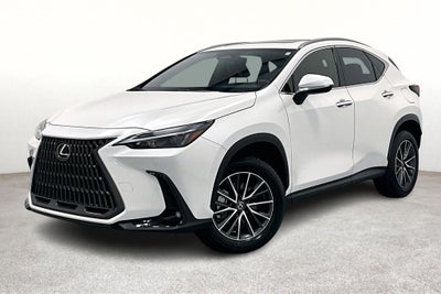 2025 Lexus NX 250 Premium