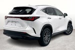 2025 Lexus NX 250 Premium