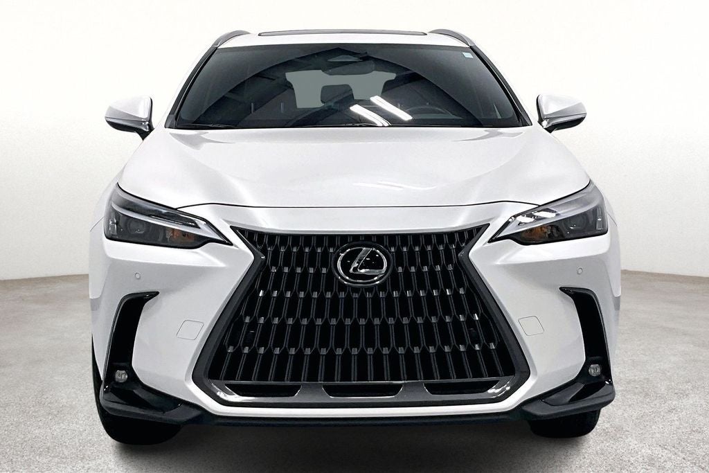 2025 Lexus NX 250 Premium